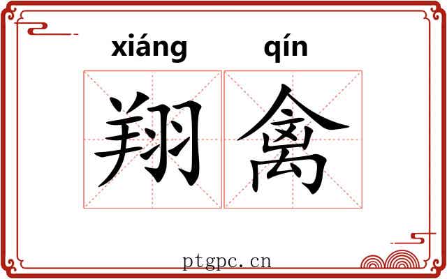 翔禽