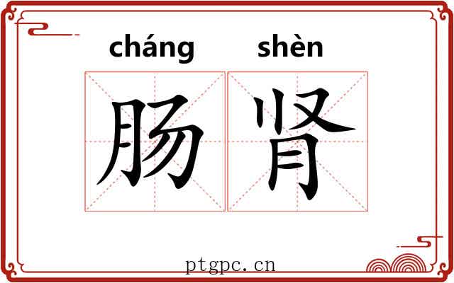 肠肾
