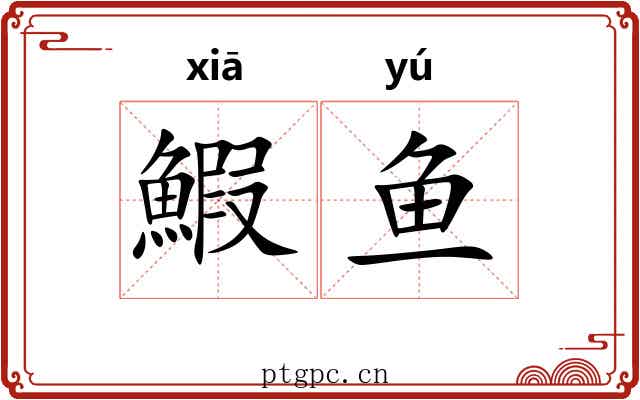 鰕鱼 鰕鱼