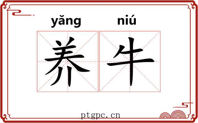 养牛