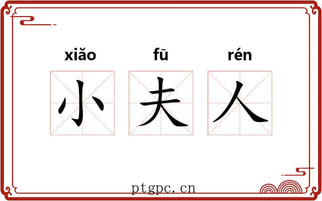 小夫人 小夫人