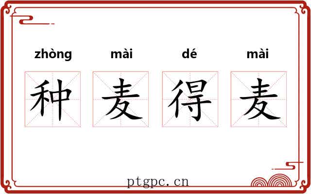 种麦得麦 种麦得麦
