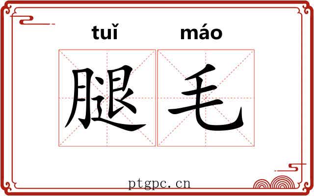 腿毛 腿毛