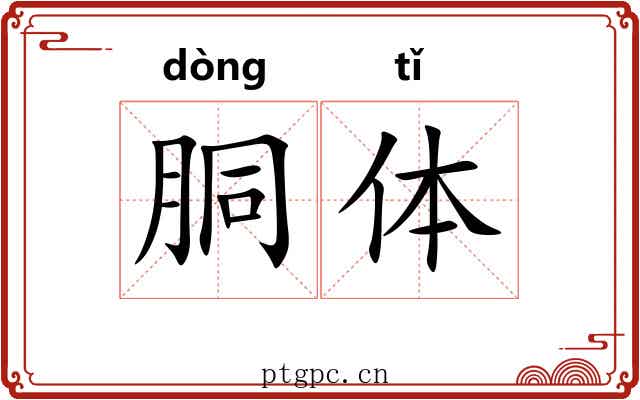 胴体 胴体