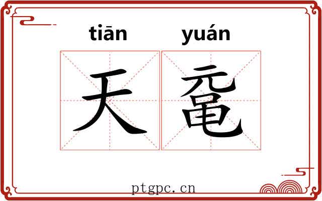天鼋 天鼋