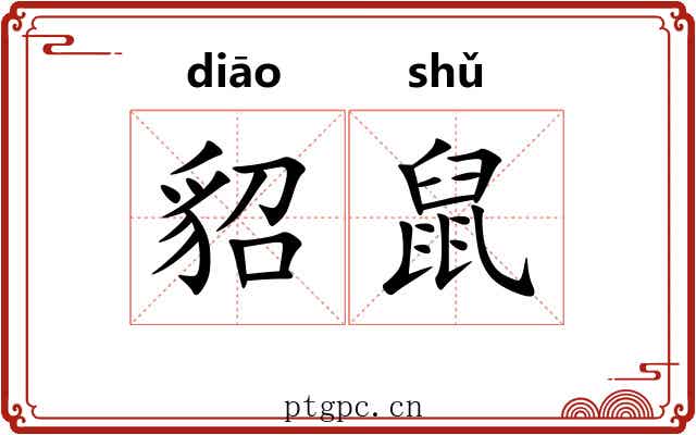 貂鼠