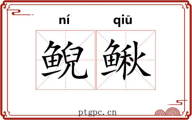 鲵鳅