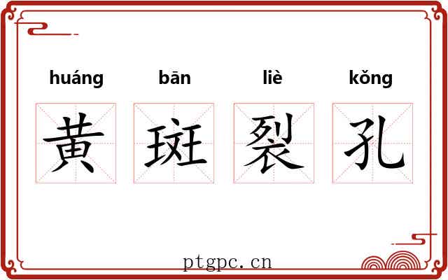 黄斑裂孔 黄斑裂孔