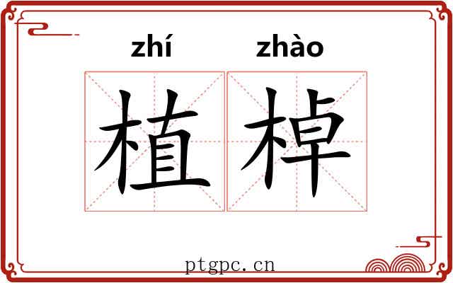 植棹