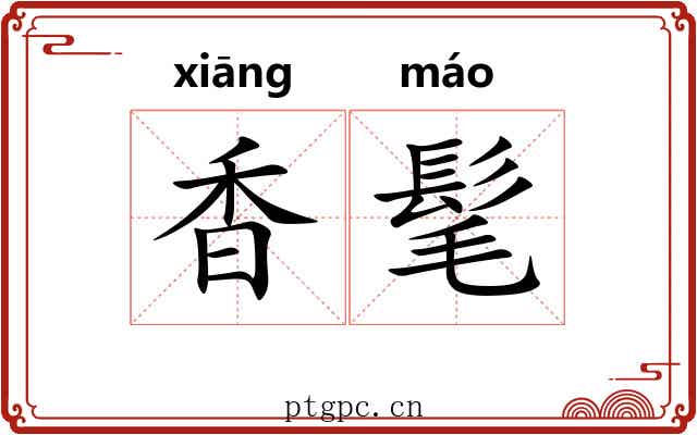 香髦 香髦
