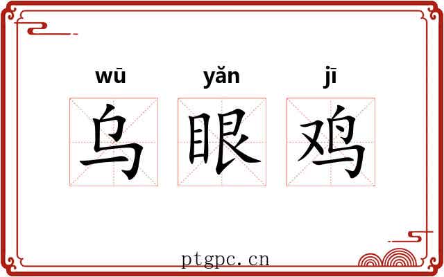 乌眼鸡 乌眼鸡