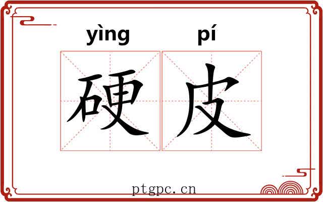 硬皮 硬皮