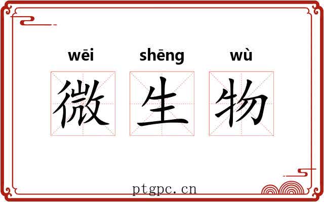微生物 微生物