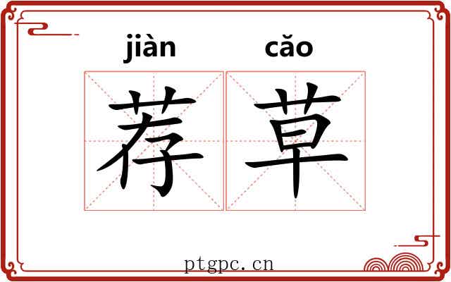 荐草