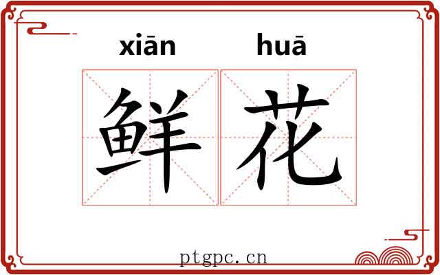 鲜花
