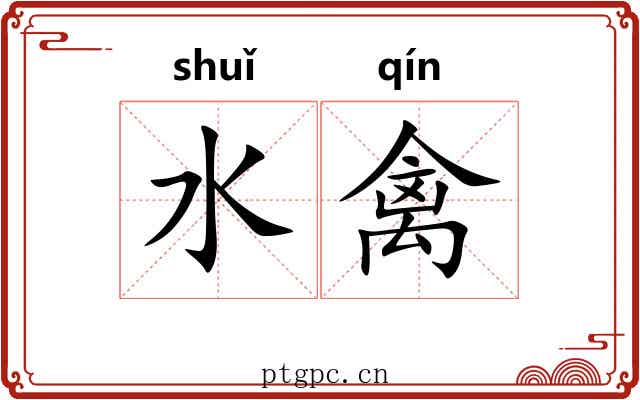 水禽