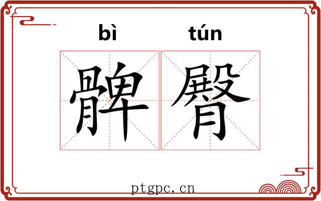 髀臀