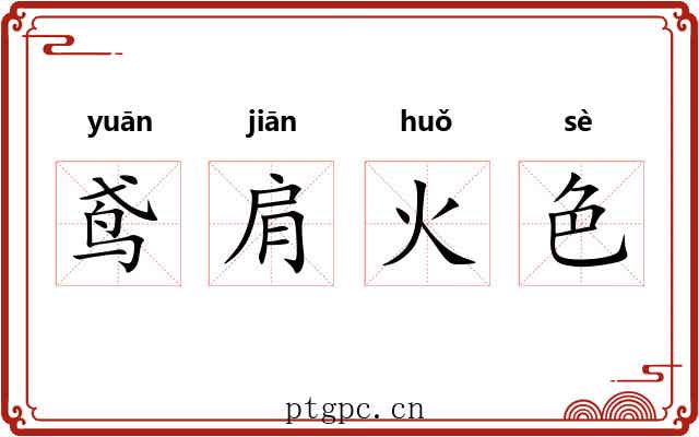 鸢肩火色 鸢肩火色