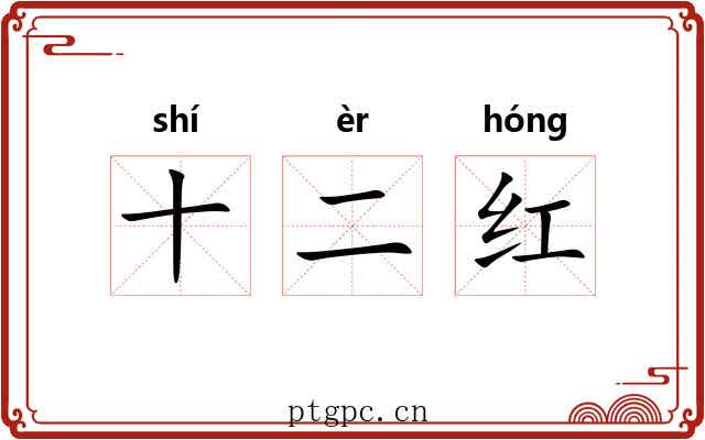 十二红 十二红