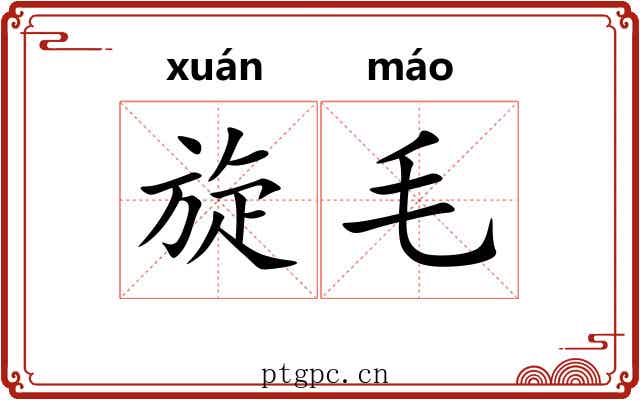 旋毛 旋毛