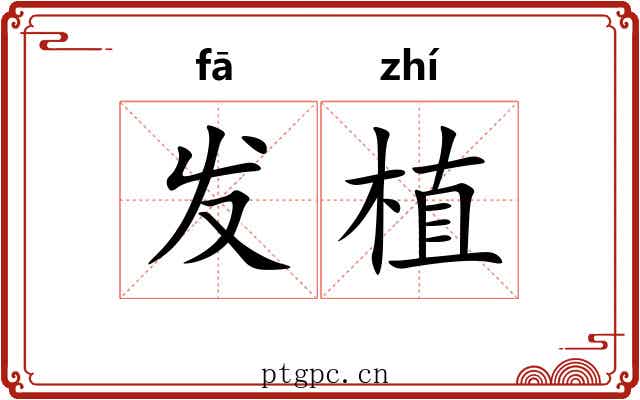 发植 发植