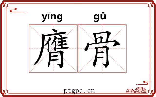 膺骨