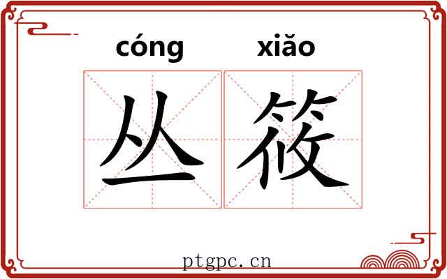 丛筱