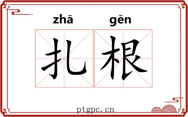扎根 扎根