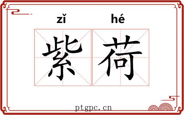紫荷
