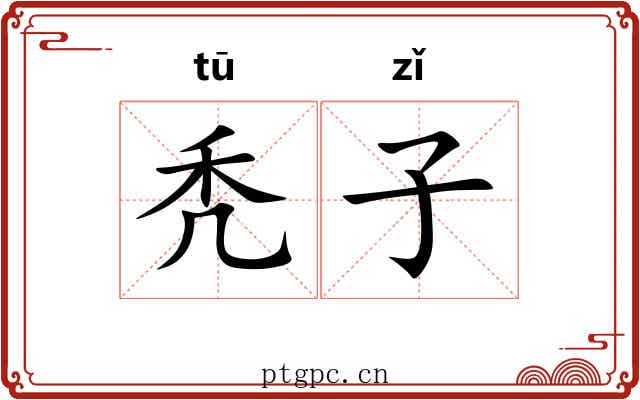 秃子 秃子
