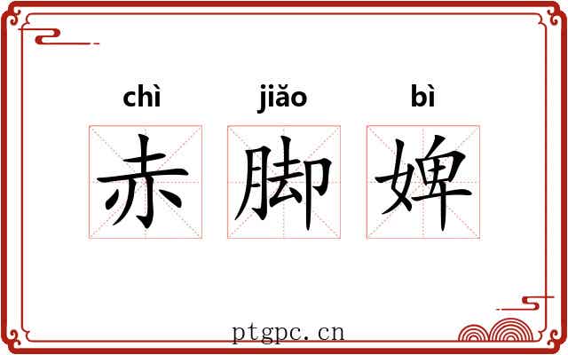 赤脚婢 赤脚婢
