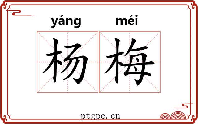 杨梅 杨梅