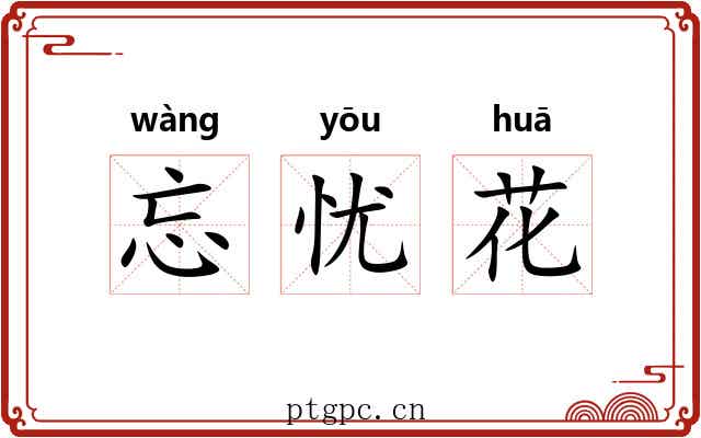 忘忧花 忘忧花