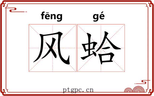 风蛤 风蛤