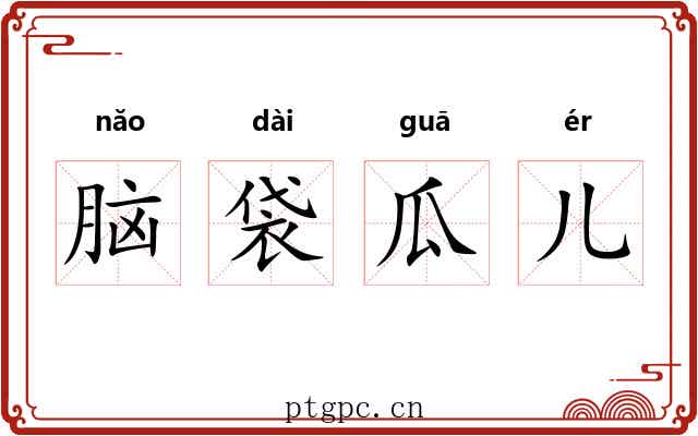 脑袋瓜儿 脑袋瓜儿