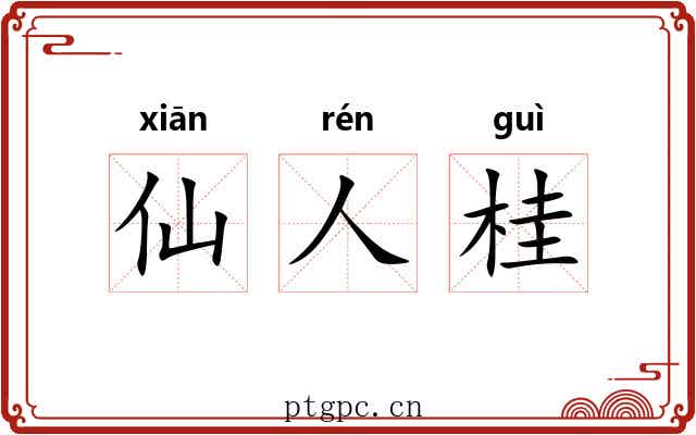 仙人桂