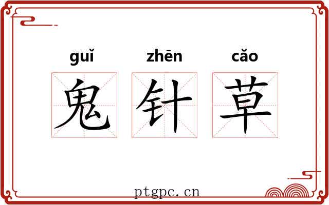 鬼针草 鬼针草