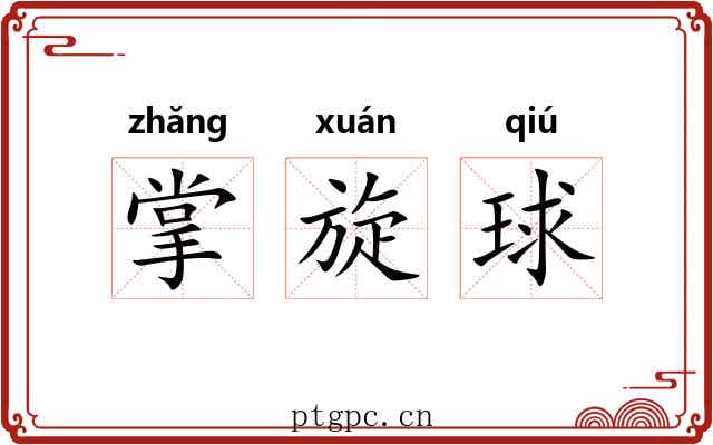 掌旋球 掌旋球