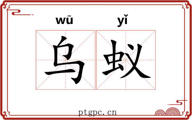 乌蚁