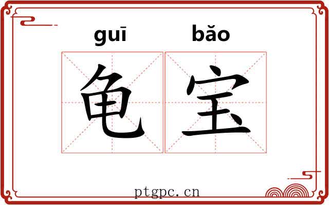 龟宝