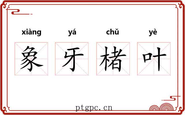 象牙楮叶