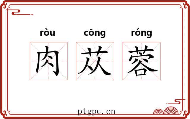 肉苁蓉 肉苁蓉