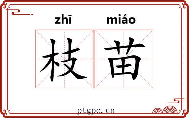 枝苗 枝苗