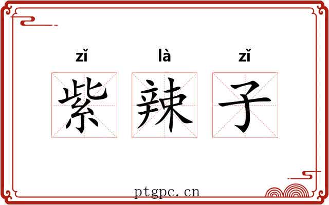 紫辣子 紫辣子