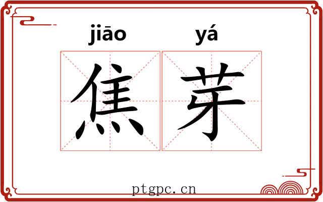焦芽
