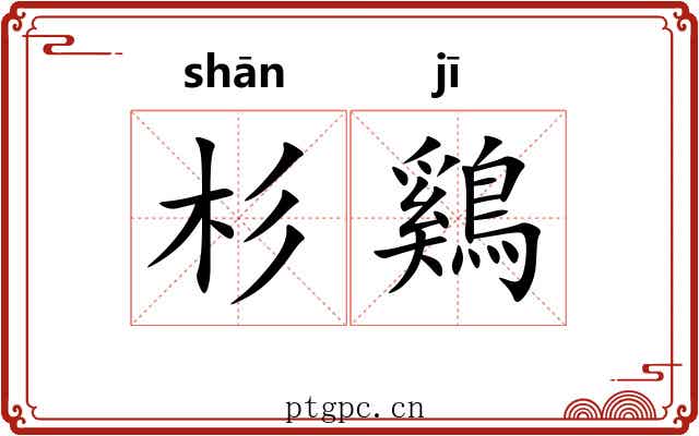 杉鷄