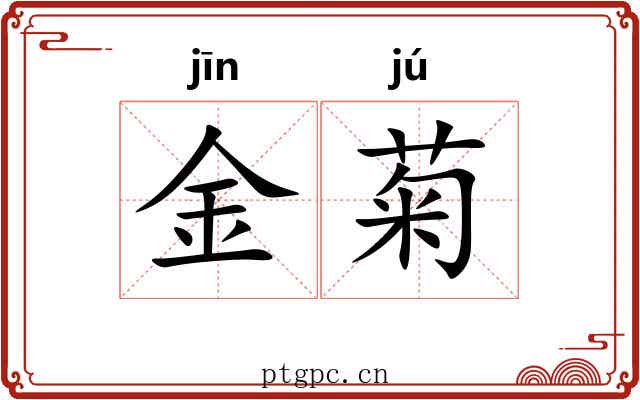 金菊 金菊