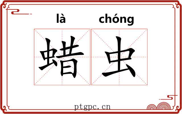 蜡虫