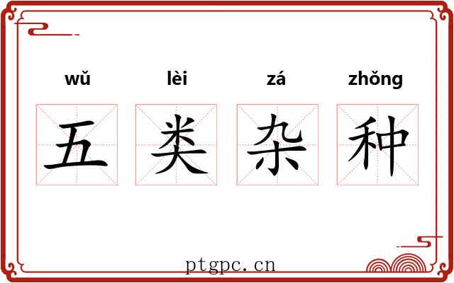 五类杂种 五类杂种