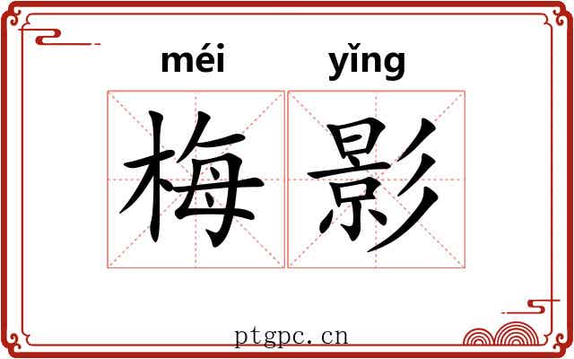 梅影 梅影
